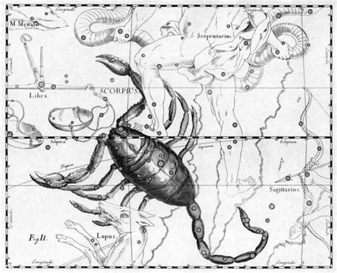 天蠍座日期|天蠍座日期範圍：創造生命中的神秘魔法 – 星語軌跡